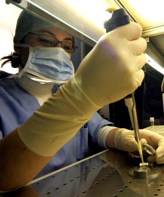 Eterologa, nell’isola spesa più bassa: il ticket costerà 400 euro