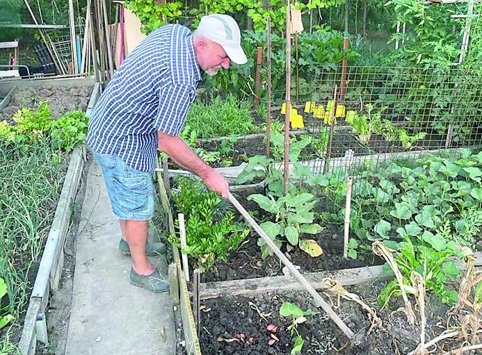 L’ordinanza non piega gli orti di Reggio Emilia: «È giusta, ci organizzeremo»