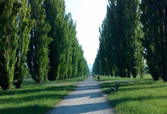 Sassuolo Il Parco Ducale si rinnova Dal Pnrr due milioni di euro