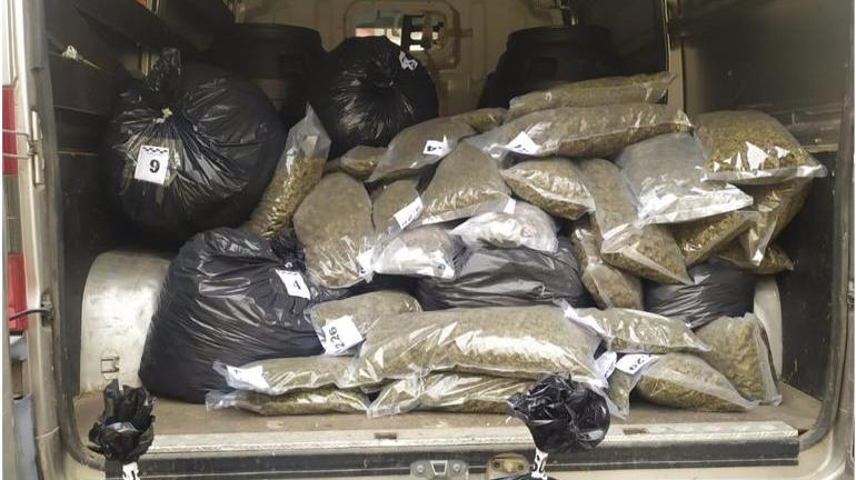 Nuoro, sequestrati 130 chili di cannabis: un arresto