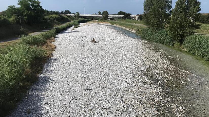 Siccità e fiume Frigido in secca, i consigli anti spreco di Coldiretti