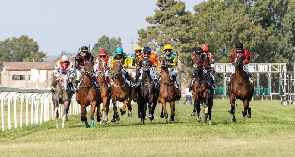 «Il mondo del cavallo è vivo. Produzione in costante crescita»