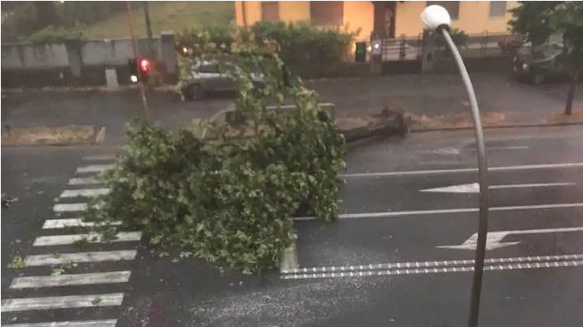 Maltempo e danni a Massa-Carrara: alberi caduti e disagi su tutto il territorio