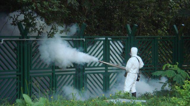 Un'operazione di disinfestazione dalla zanzara