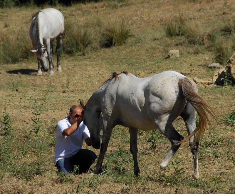 Davide Bassi con alcuni cavalli tenuti liberi nella tenuta Aquila Nera, che dà il nome anche a una onlus