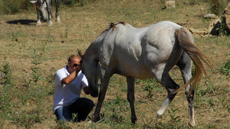 Davide Bassi con alcuni cavalli tenuti liberi nella tenuta Aquila Nera, che dà il nome anche a una onlus