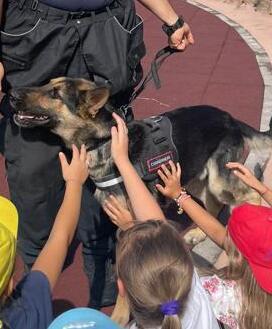 Cavezzo I bimbi incontrano i cani dei carabinieri