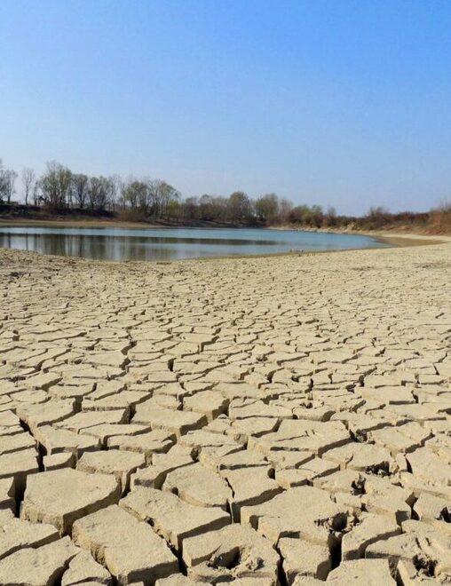 Siccità, altri guai La Regione Emilia Romagna chiede le autobotti Danni nei frutteti 