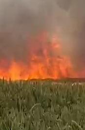 A Bomporto il fuoco divora tre ettari