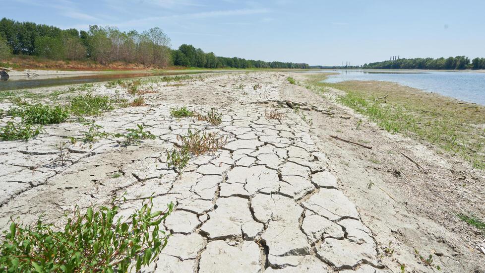 Siccità, deficit idrico grave ma nessun “taglio” irriguo
