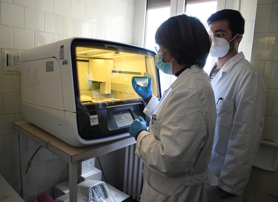 Covid in Sardegna: 2569 nuovi casi e nessun decesso