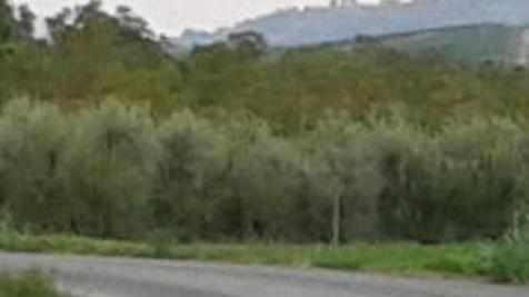 L’asfalto... a metà che provoca gli incidenti