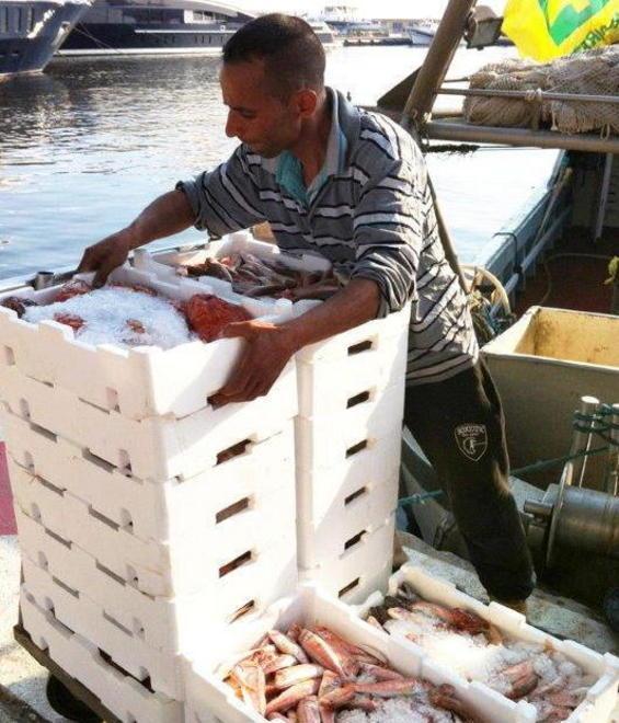 Pesce già lavorato a bordo per aggredire il mercato