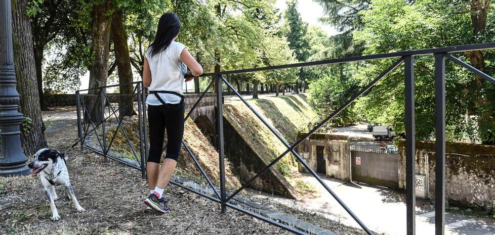 Lucca, balaustre anticaduta sulle Mura: c’è l’ok al progetto e alla gara 