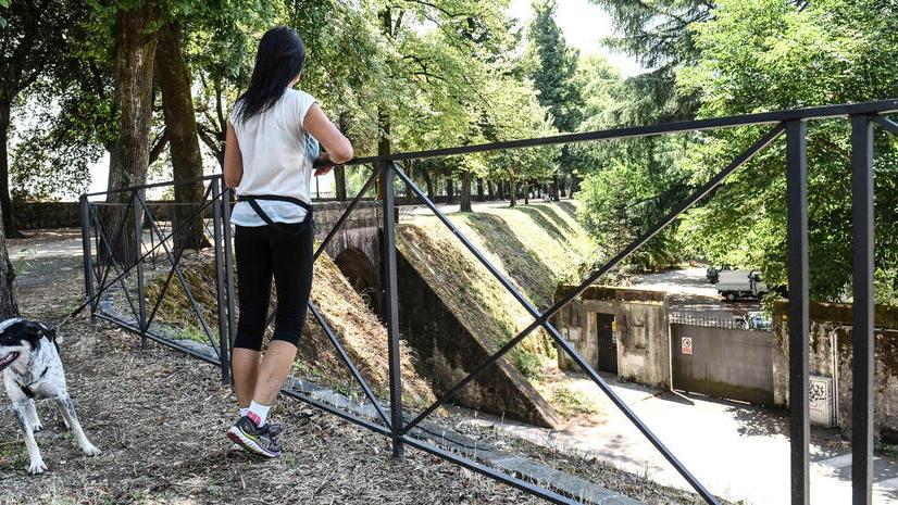 Lucca, balaustre anticaduta sulle Mura: c’è l’ok al progetto e alla gara