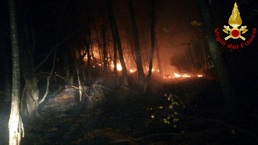 Alto pericolo di incendi scattano l’allerta e i divieti nella provincia di Modena