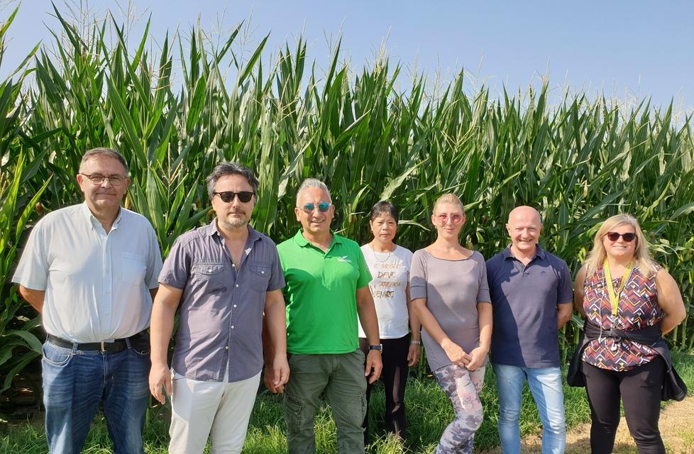 Il più bel mais a Salvatonica. «Dimezzati acqua e gasolio» 