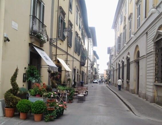 «Blatte nelle case del centro»: allarme di residenti e ristoratori 