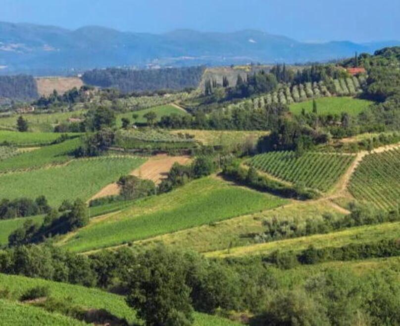Valdicecina, il distretto rurale diventa biologico 