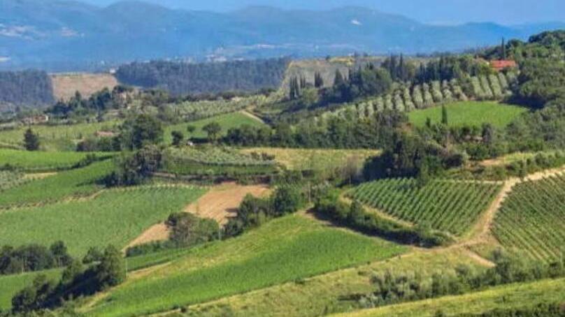 Valdicecina, il distretto rurale diventa biologico