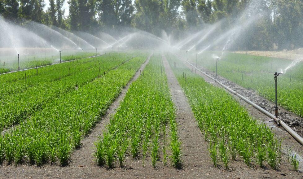 Il Consorzio agli agricoltori: «Limitate gli sprechi d’acqua»