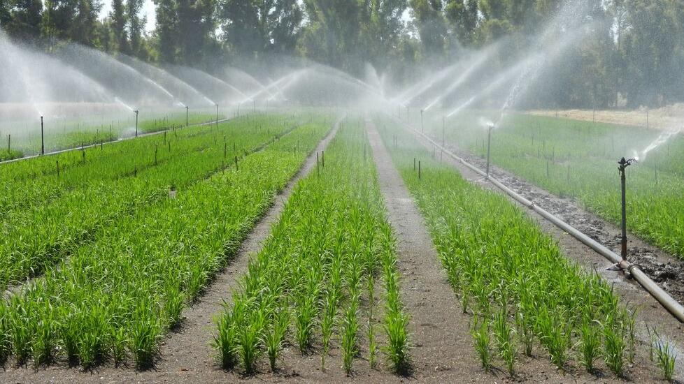 Il Consorzio agli agricoltori: «Limitate gli sprechi d’acqua»