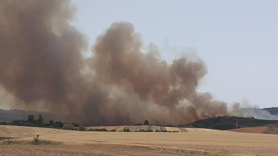 Rogo a Manciano, intervengono gli elicotteri antincendio