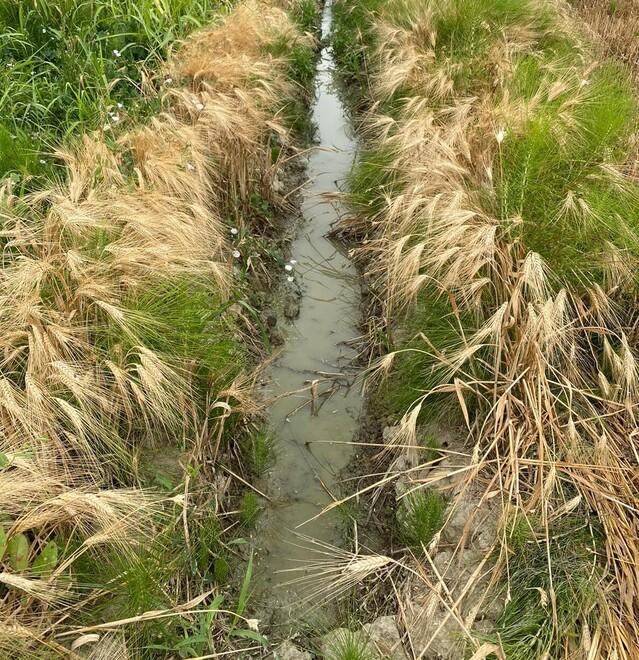 La falla fa nascere  un canale