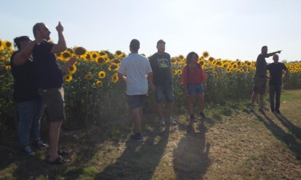Finale Il sorriso nel parco di 350mila girasoli «Supportiamo il rispetto per la natura»