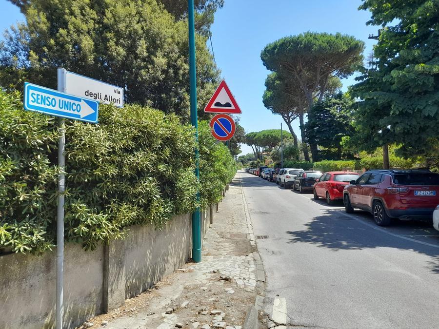 
	Un tratto di via degli Allori a Tirrenia una strada con ville e villette

