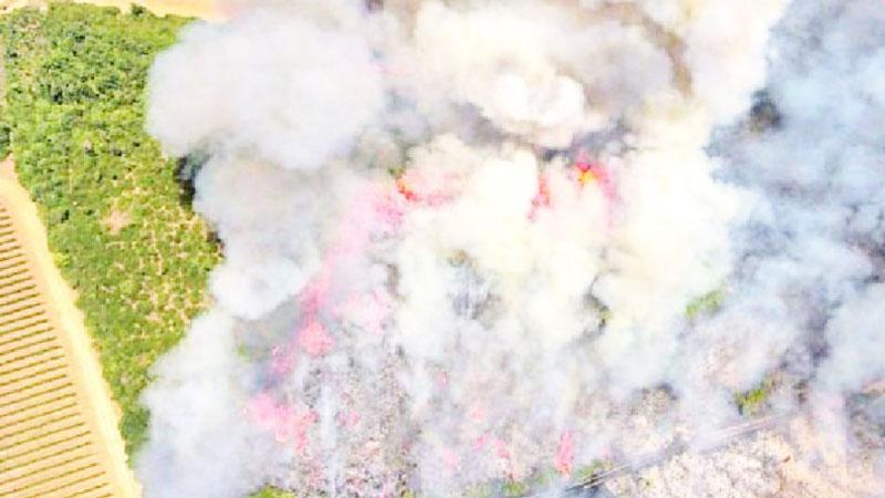 Rogo sulle colline, bruciano i campi. In azione 4 elicotteri antincendio