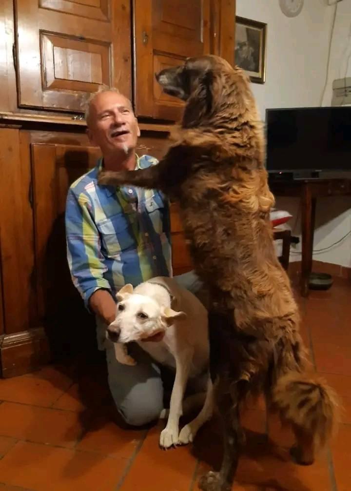 Addio a Iozzelli, medico e artista