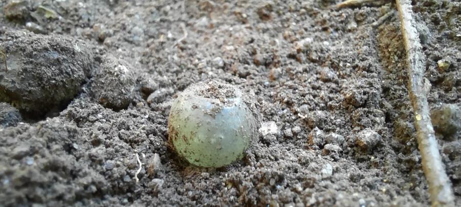 Straordinaria scoperta in un pozzo sacro: 160 perline colorate di epoca nuragica