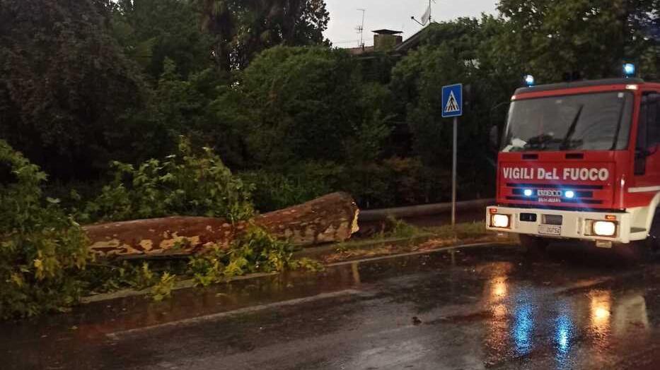 Il temporale fa tanti danni a Reggio Emilia e provincia