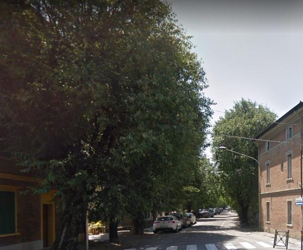 Nonantola Casa devastata dagli alberi 