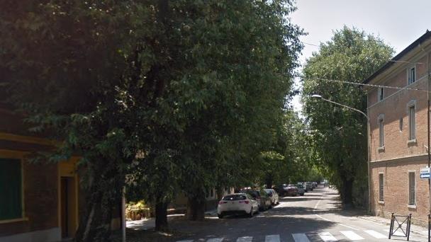 Nonantola Casa devastata dagli alberi