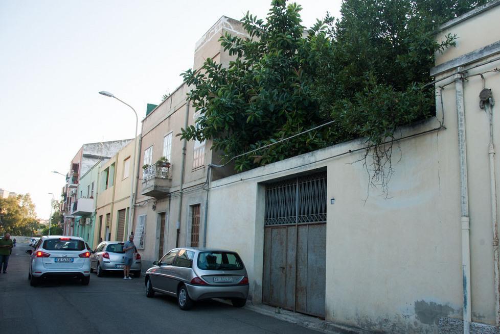 Sulla scala per salvare i gatti: cade e muore 