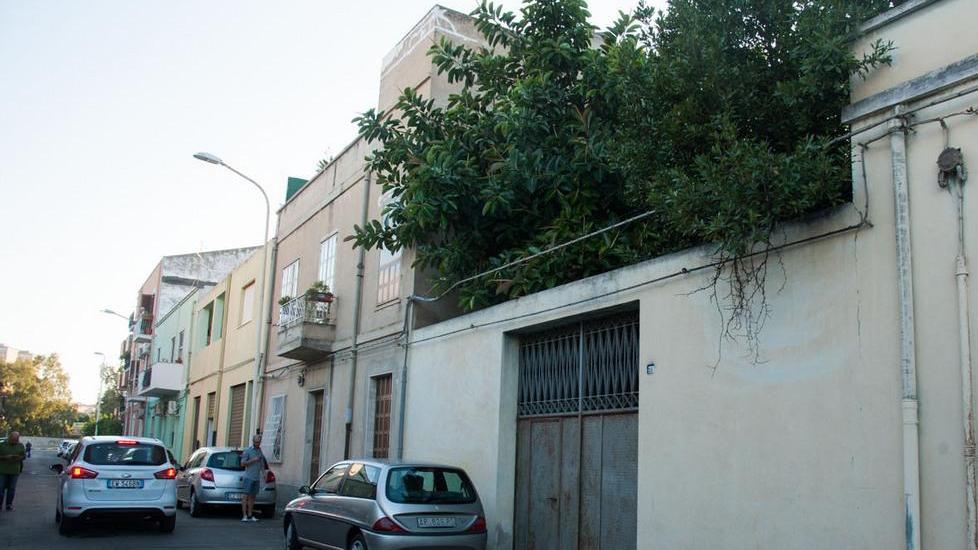 Sulla scala per salvare i gatti: cade e muore