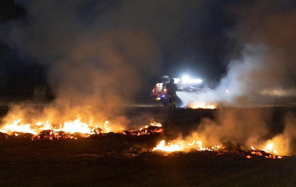 Bassa Modenese La scia di danni del maltempo: alberi e pali caduti, tegole volate