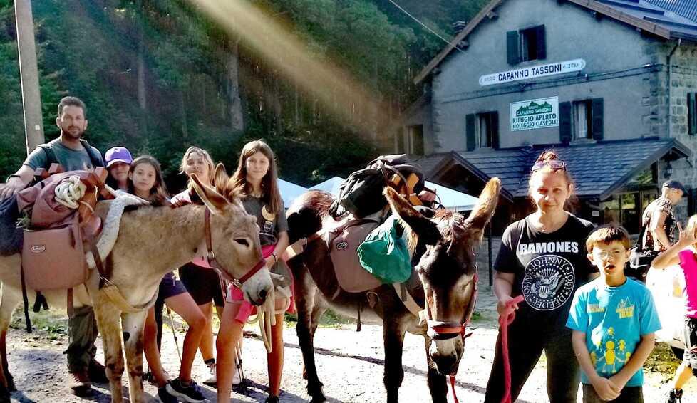 Nonantola. Via Romea: ragazzi in cammino con gli asini di Villa Forni 
