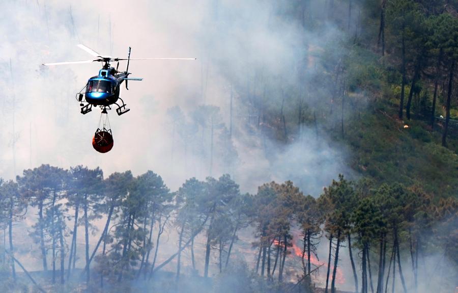 
	Le fiamme sul Monte Serra (foto Franco Silvi)

