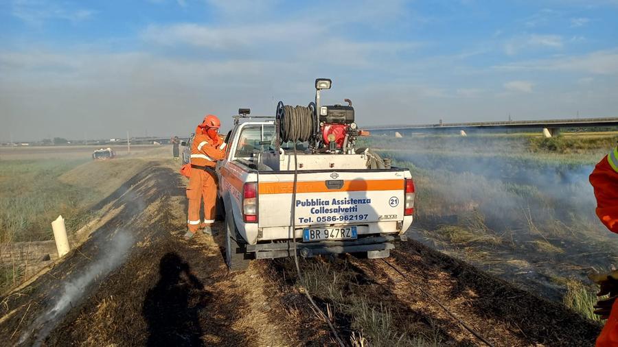 Collesalvetti, bruciano le sterpaglie nella zona dello scolmatore