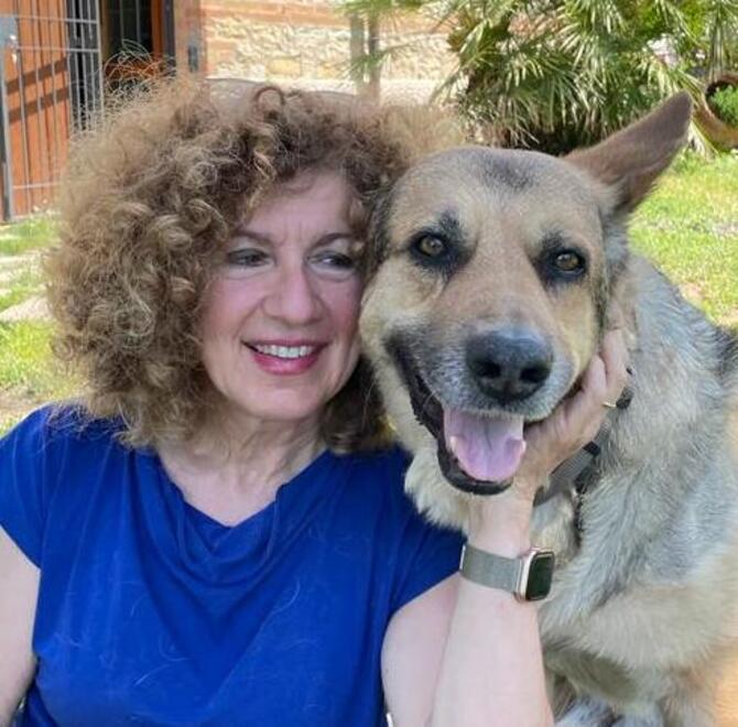 Argo, il cane dimenticato in auto come i bambini sul seggiolino