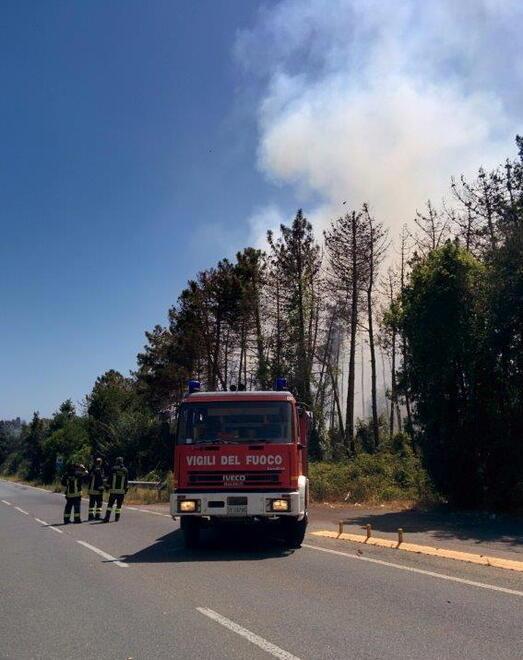 Uno degli incendi dell’estate 2016, in particolare l’immagine si riferisce a un rogo avvenuto a Castiglione della Pescaia