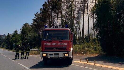 Uno degli incendi dell’estate 2016, in particolare l’immagine si riferisce a un rogo avvenuto a Castiglione della Pescaia