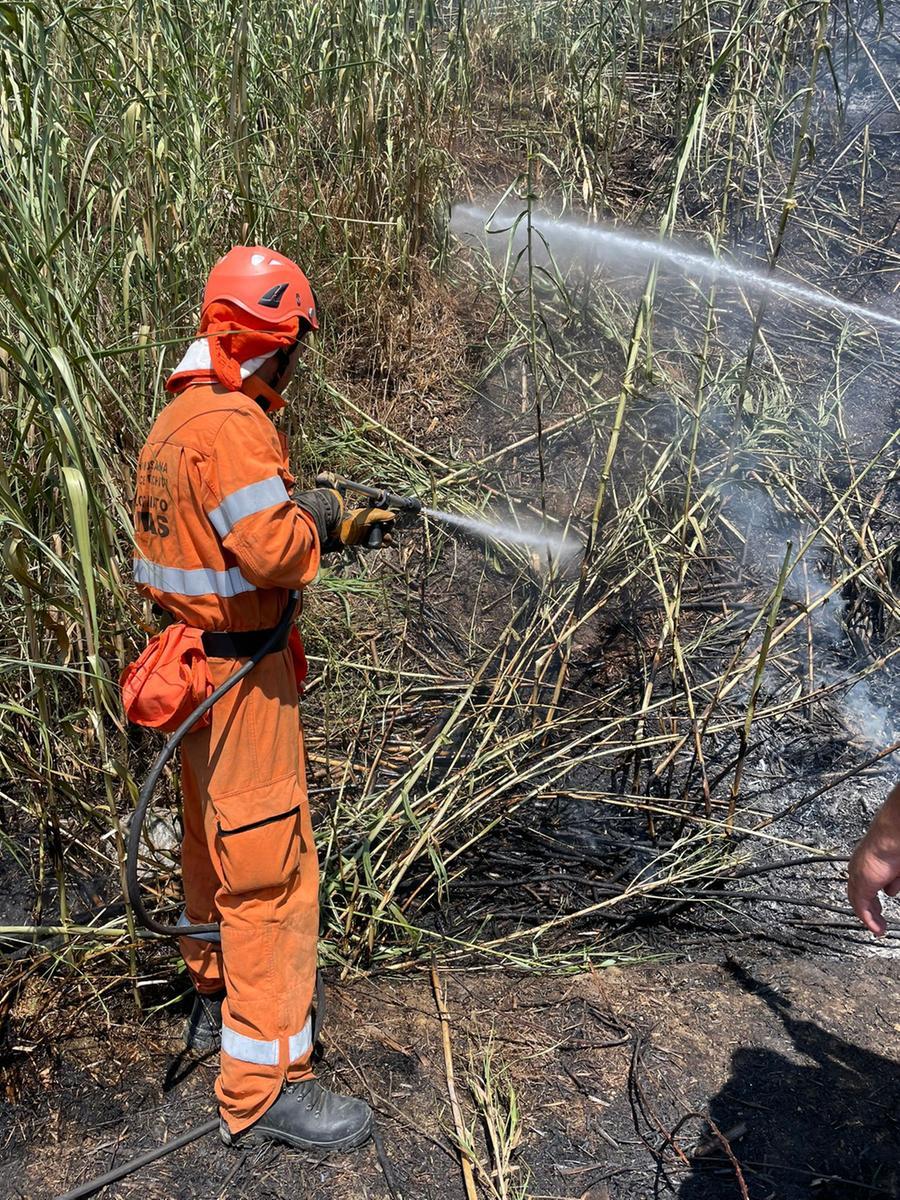 Ancora un incendio a Collesalvetti, a fuoco altre sterpaglie
