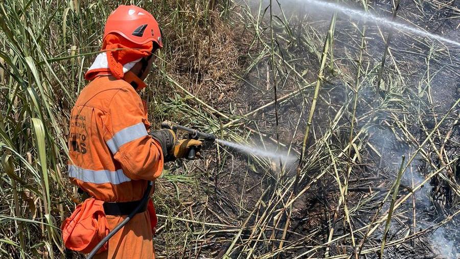 Ancora un incendio a Collesalvetti, a fuoco altre sterpaglie