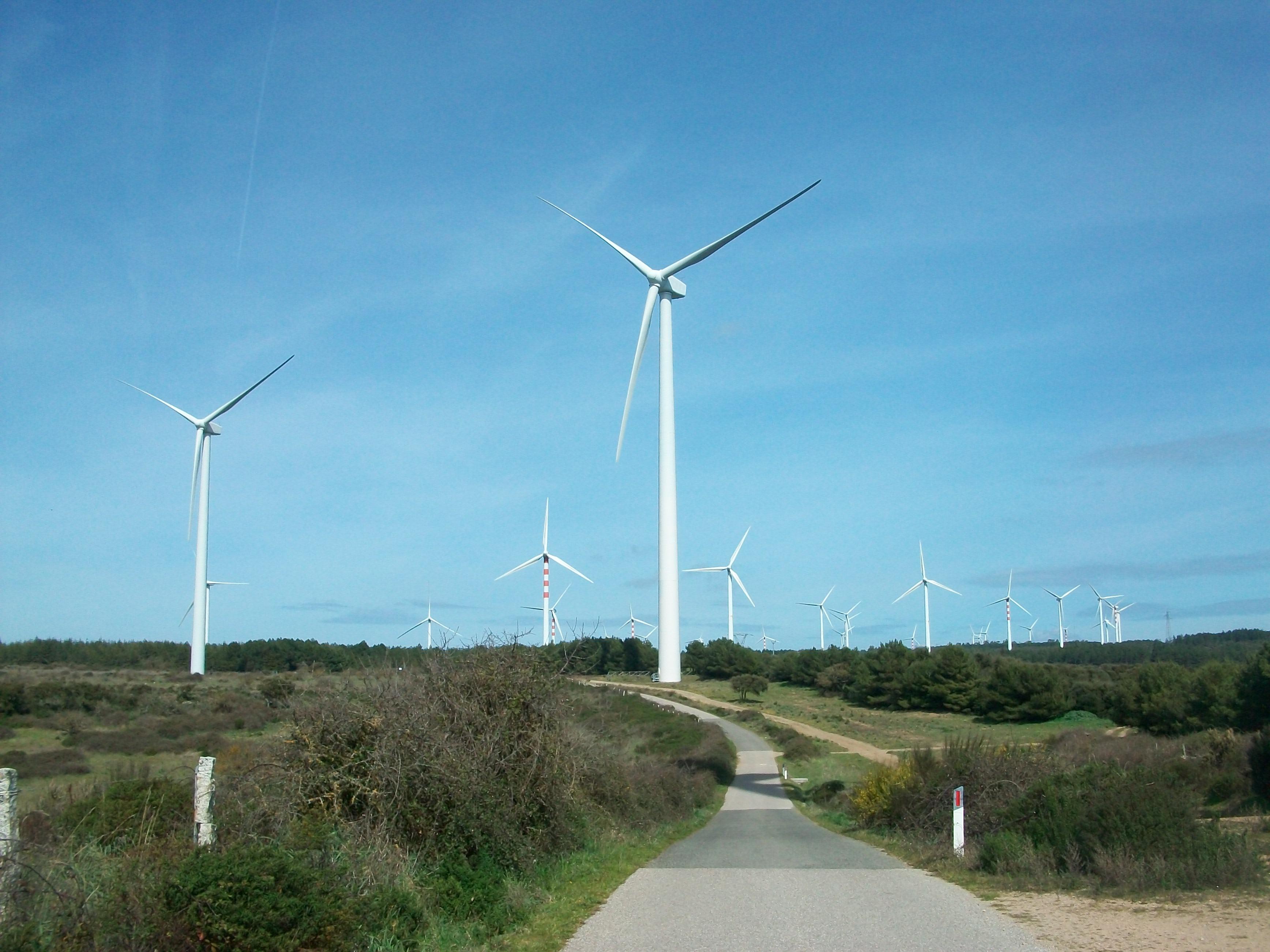 Nuovi parchi eolici, gli uffici regionali studiano il ricorso: sull’energia si va allo scontro 