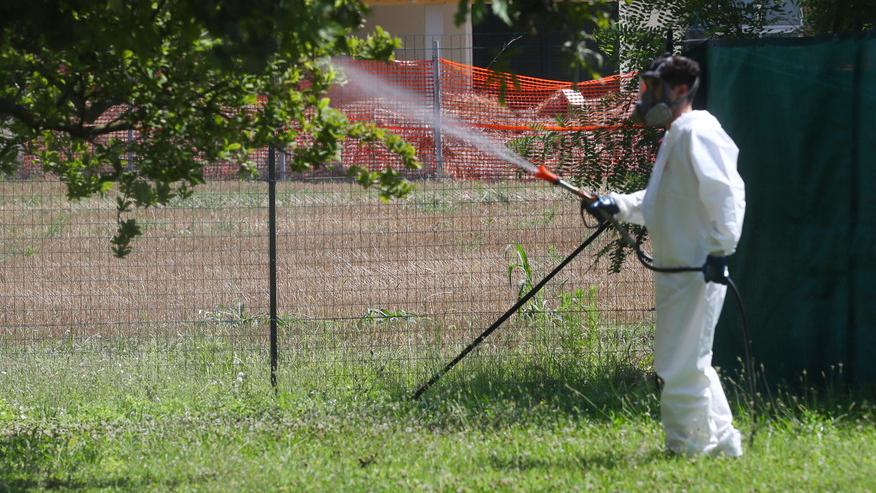 Più insetti con il caldo torrido. Cresce il rischio West Nile nel Ferrarese