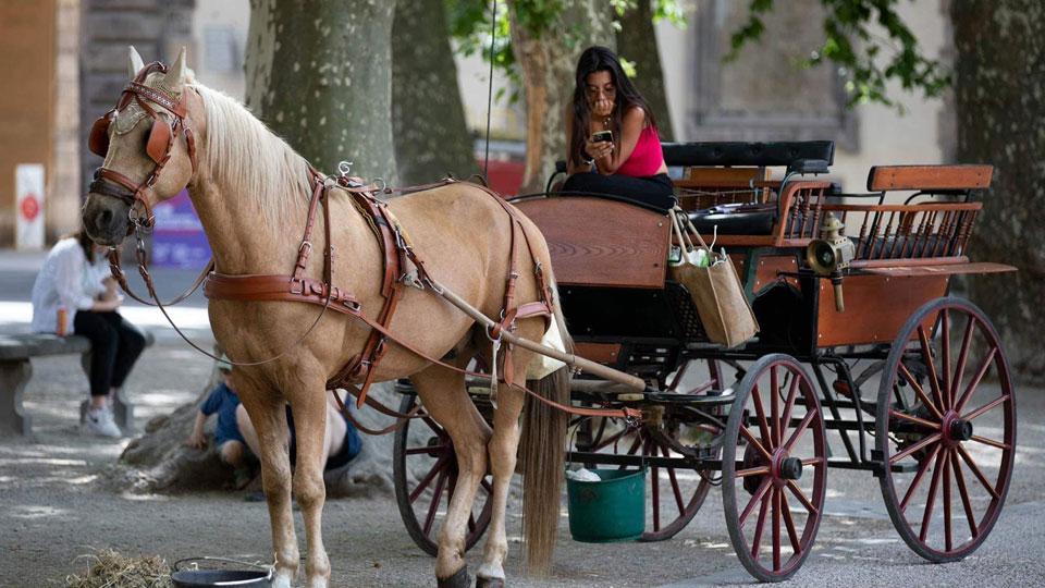 Marika Iavarone Da cinque anni svolge il suo lavoro in centro a Lucca